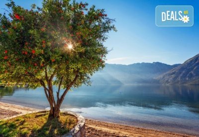 Есенна екскурзия до Адриатика: 4 нощувки със закуски и вечери, транспорт