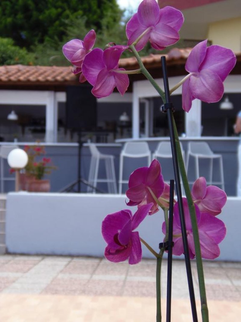 Palladium Hotel - Снимка 5