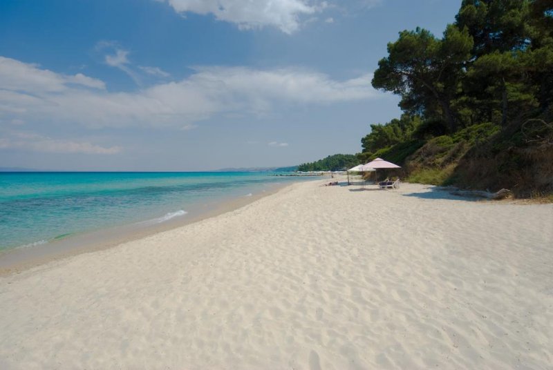 Palladium Hotel - Снимка 11