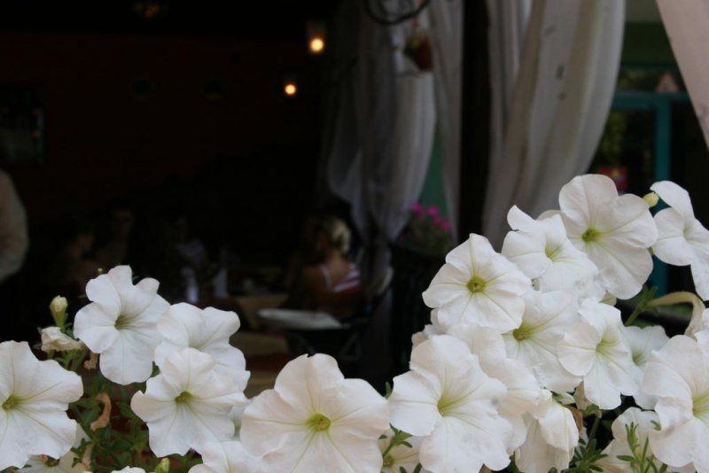 Хотел Кокиче - Снимка 5