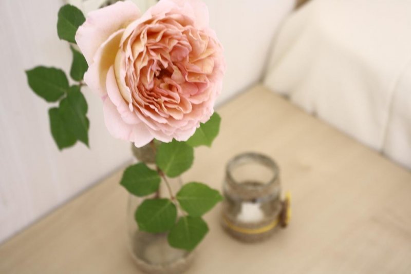 Хотел Алба Фемили - Снимка 7