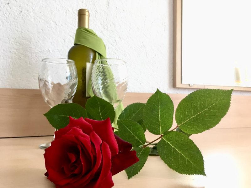 Хотел Алба Фемили - Снимка 3