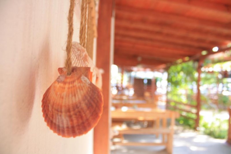 Хотел Алба Фемили - Снимка 4