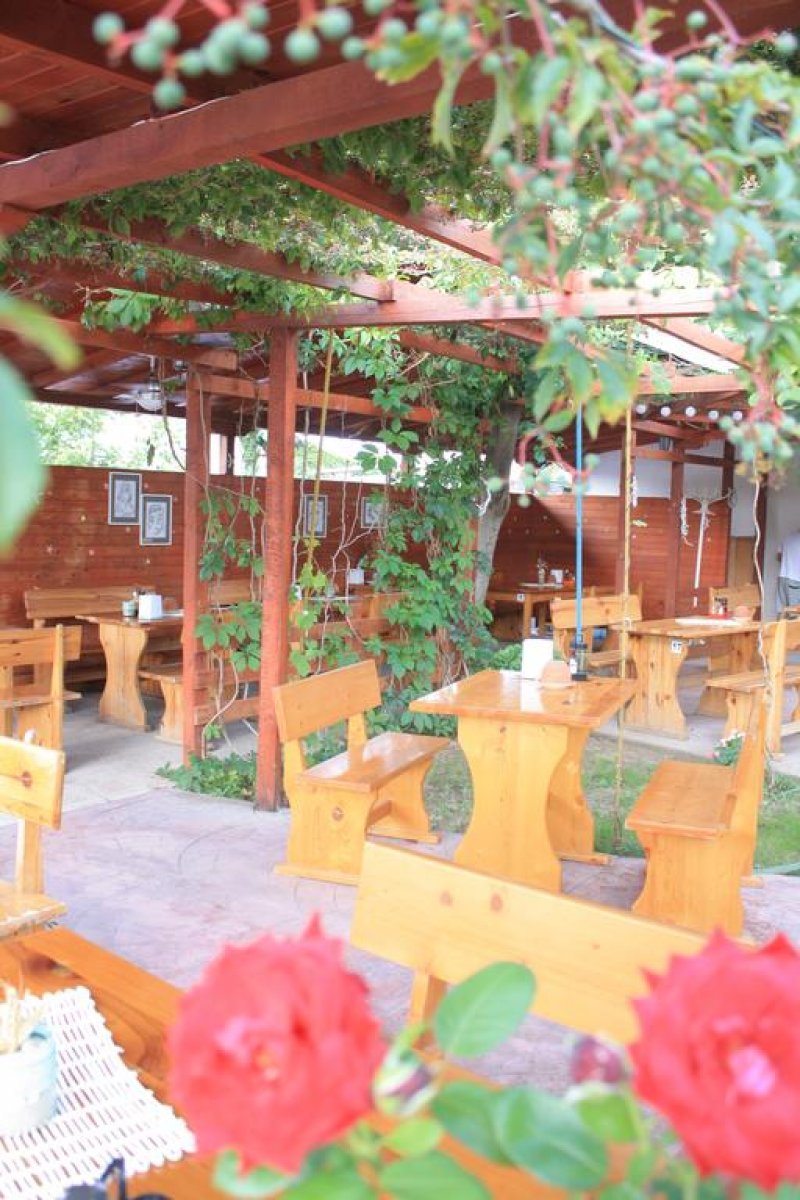 Хотел Алба Фемили - Снимка 2