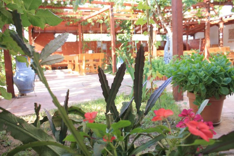 Хотел Алба Фемили - Снимка 5