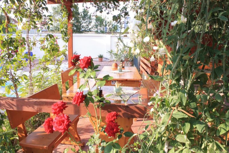 Хотел Алба Фемили - Снимка 9