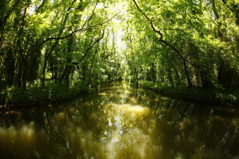 Хотел Мура - Снимка 8