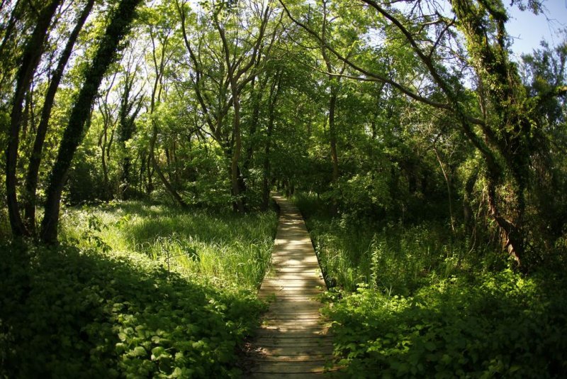 Хотел Мура - Снимка 4