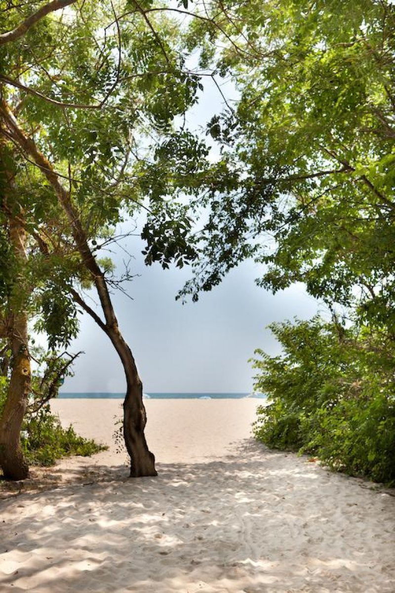 Хотел Мура - Снимка 1