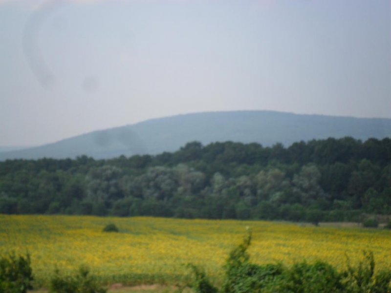 Хотел Анкор - Снимка 7