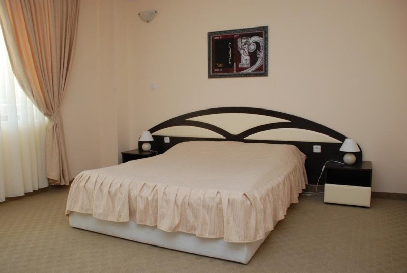 Хотел Родопа  - Снимка 7