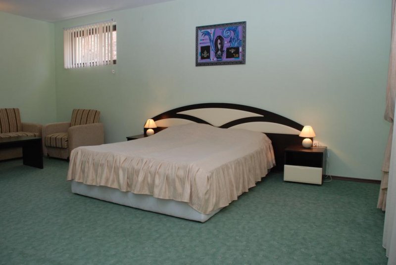 Хотел Родопа  - Снимка 7