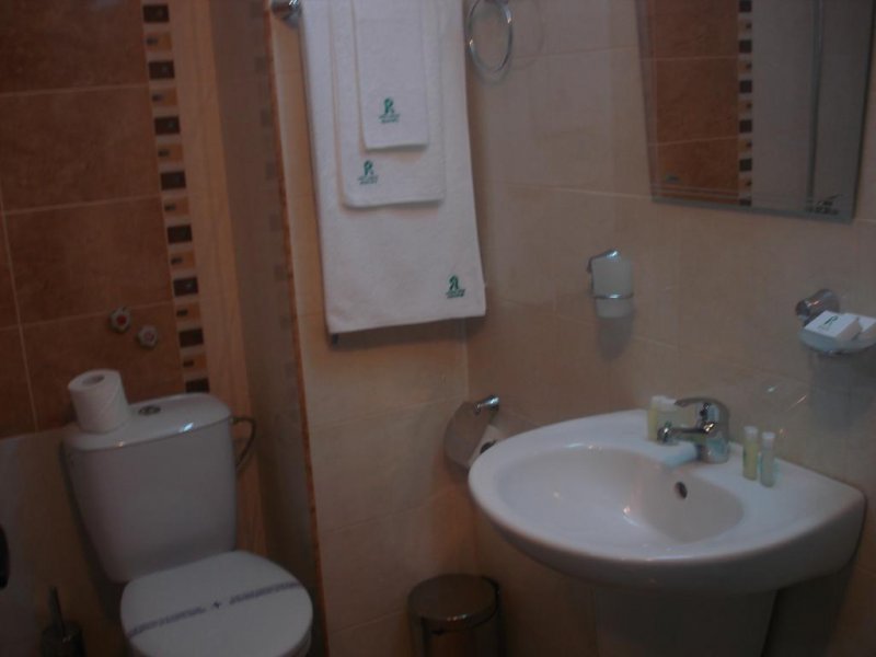 Хотел Родопа  - Снимка 1