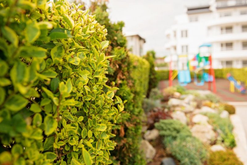 Хотел Адена - Снимка 2