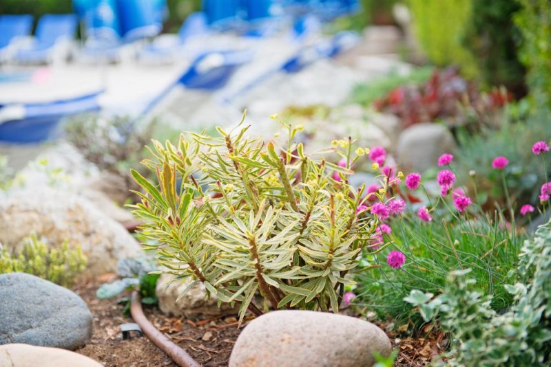 Хотел Адена - Снимка 9