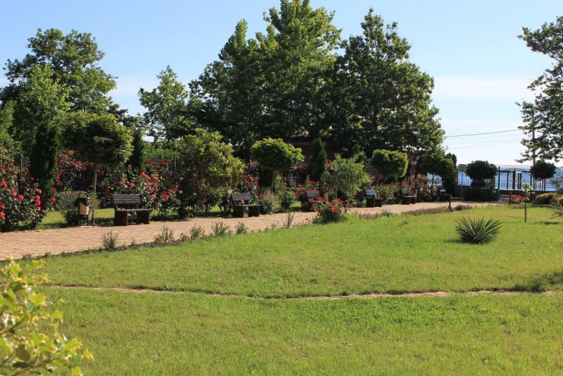 Хотел Мартинез - Снимка 4