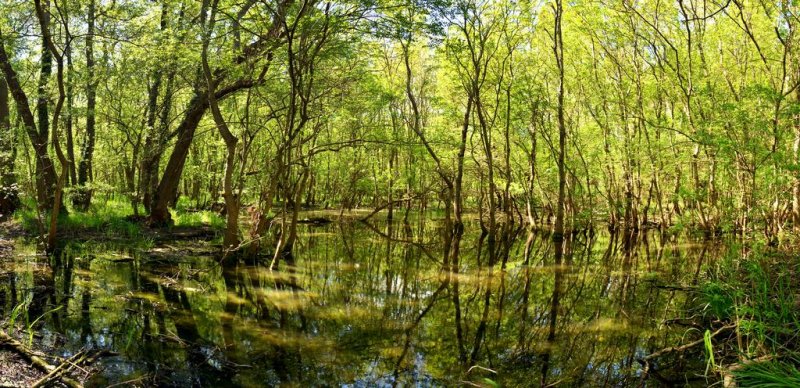 Хотел Славуна - Снимка 11