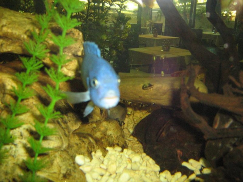 Хотел Мариета Палас - Снимка 11