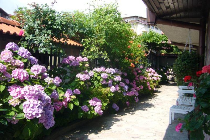 Хотел Грами - Снимка 7