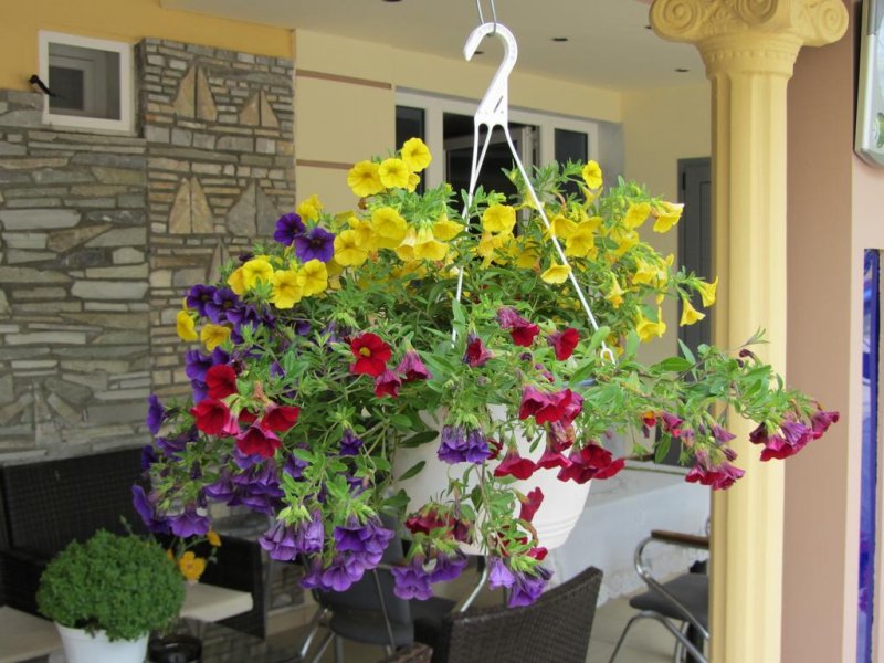 Pieria Studios - Снимка 5