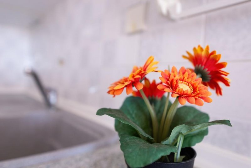 Toroni Blue Sea Hotel - Снимка 7