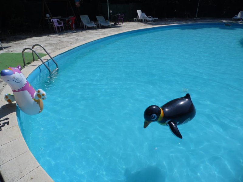  Хотел Камчия - Снимка 7