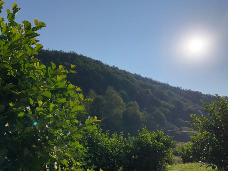 Комплекс Върбака - Снимка 10