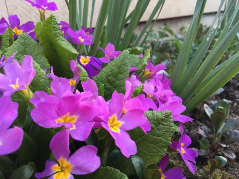 Комплекс Върбака - Снимка 8