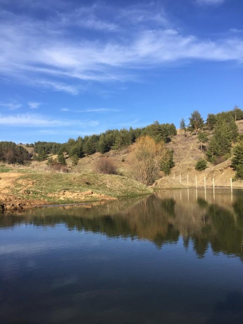 Парк хотел Орлов Камък - Снимка 11