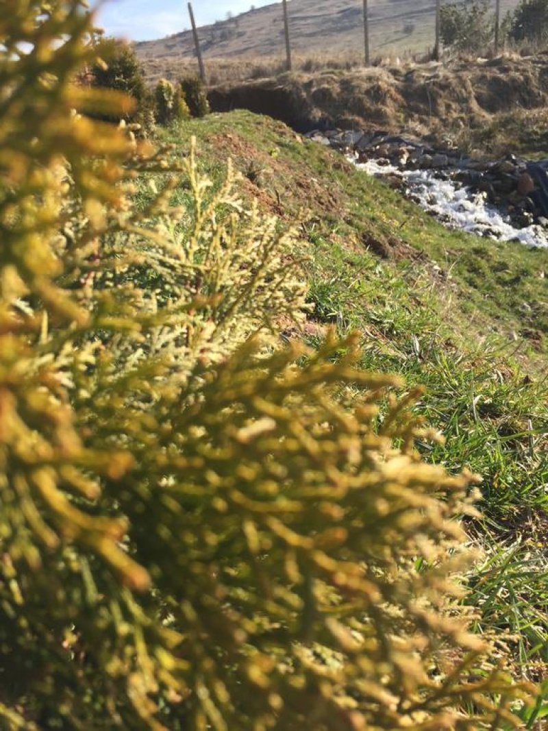 Парк хотел Орлов Камък - Снимка 2