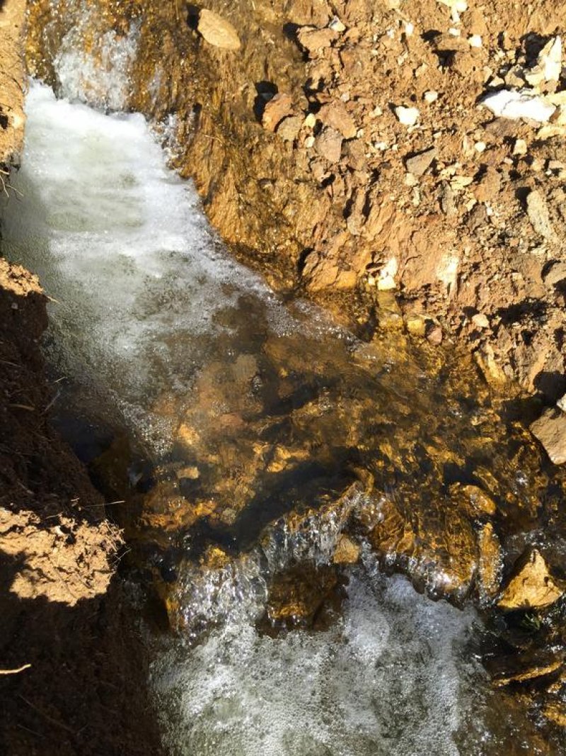 Парк хотел Орлов Камък - Снимка 7