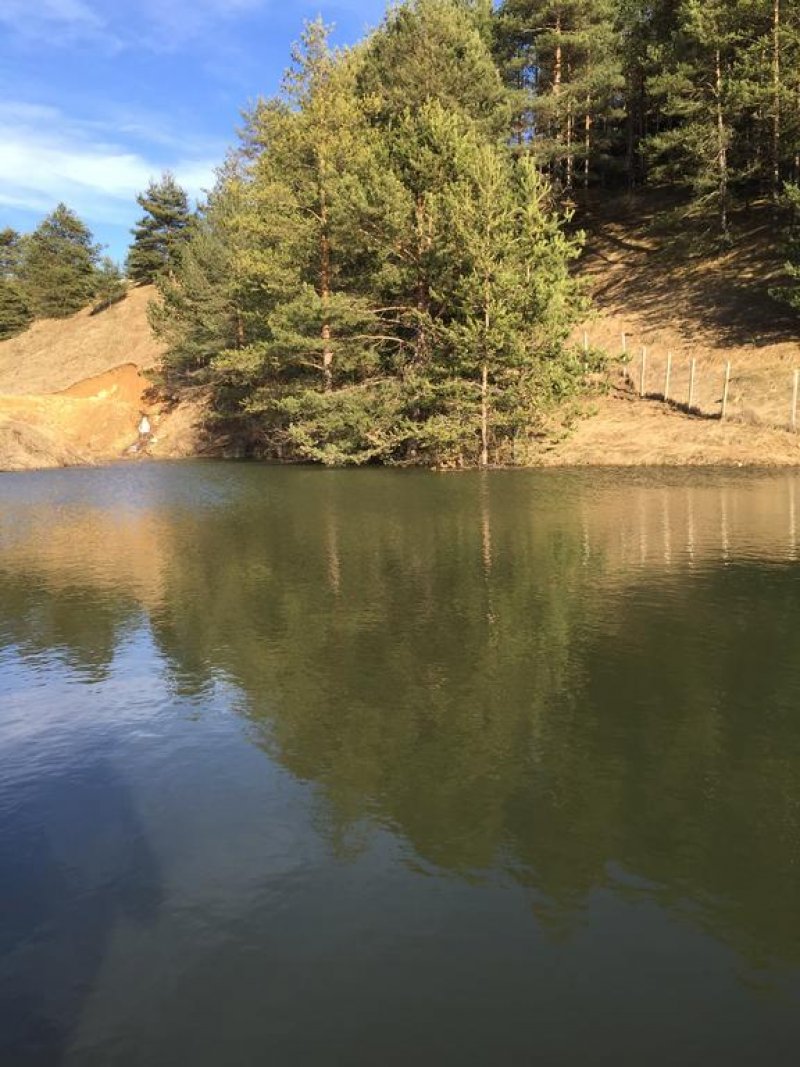 Парк хотел Орлов Камък - Снимка 2