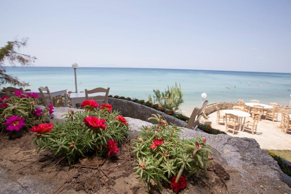 Ранни резервации: 3 нощувки със закуски и вечери в хотел Elani Bay Resort 4*, Халкидики, Гърция през Май и Юни! - Снимка 27