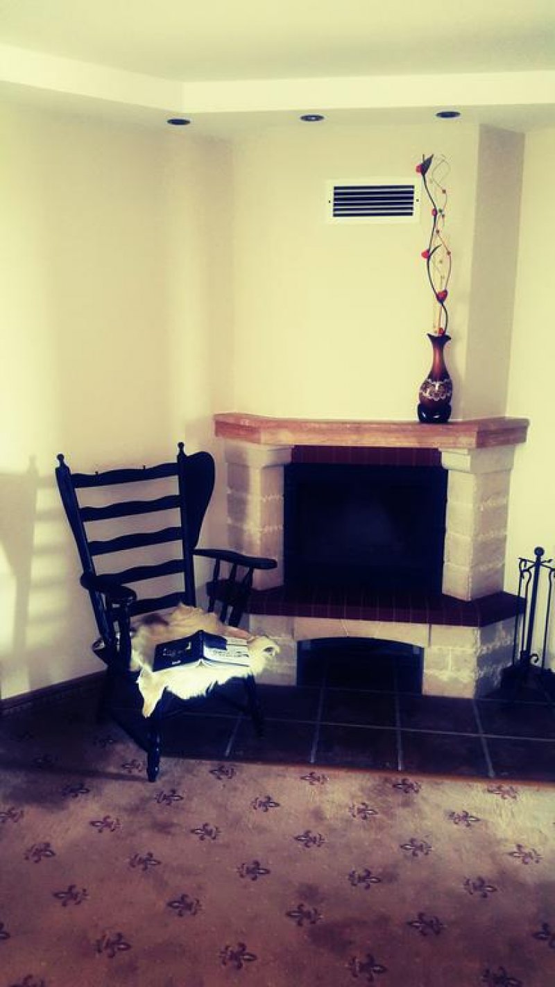 Ловна резиденция Астея - Снимка 2