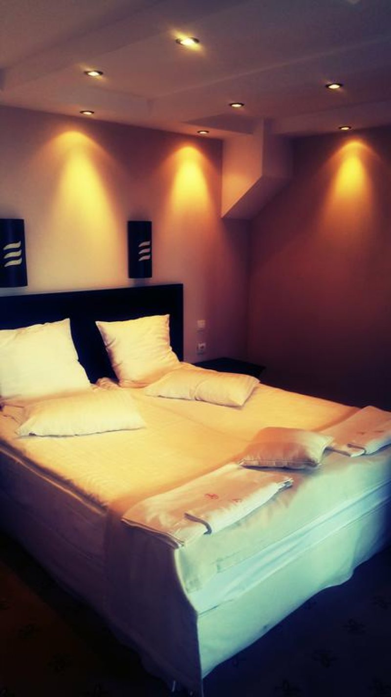 Ловна резиденция Астея - Снимка 3