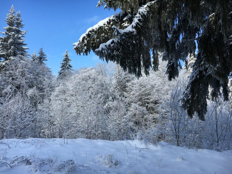 Хотел Панорама - Снимка 5