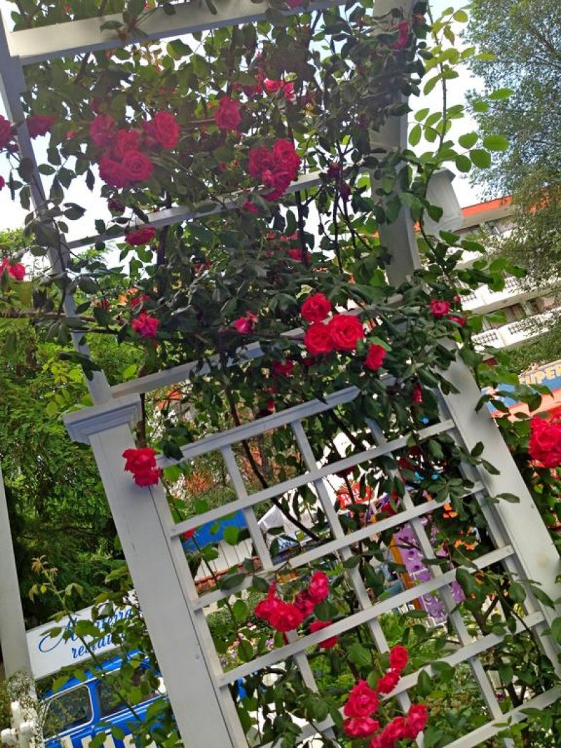 Хотел Калофер - Снимка 1