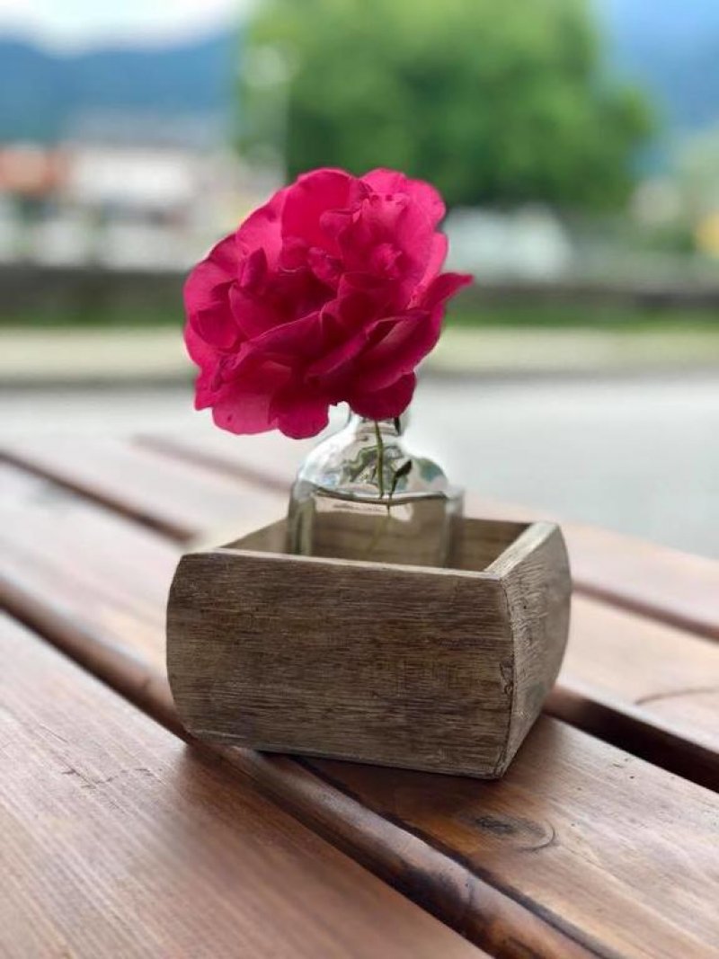 Банско Роял Тауърс - Снимка 10