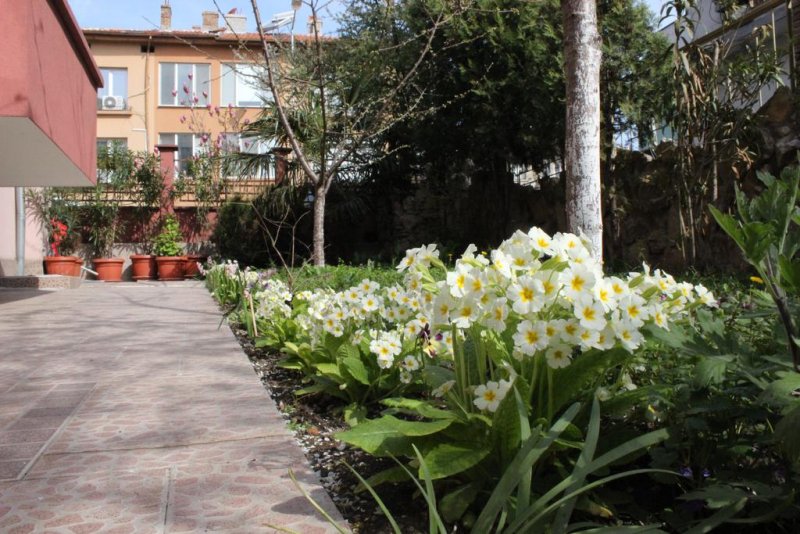 Къща за гости Дара - Снимка 2