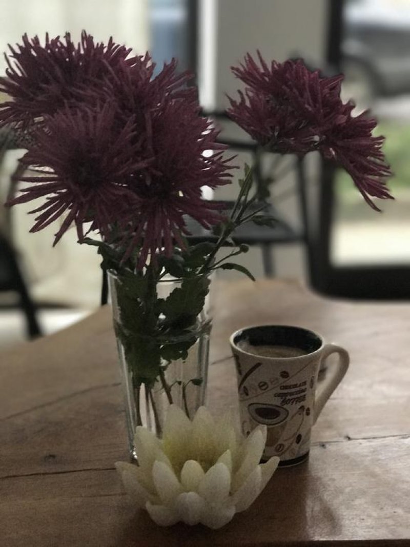 Къща за гости Дара - Снимка 3