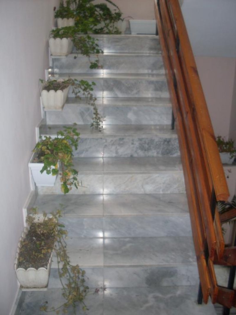 Къща за гости Колев - Снимка 1