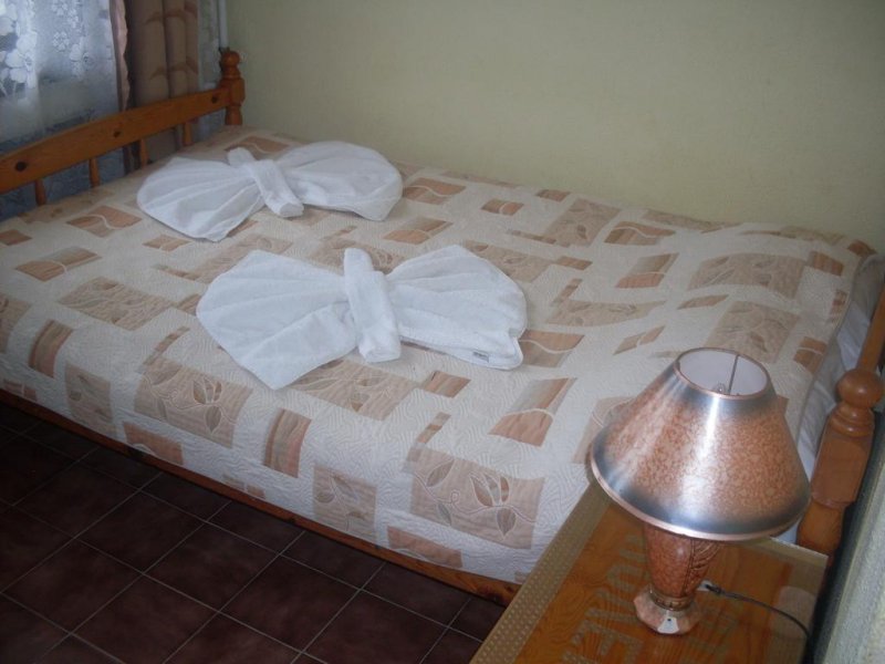 Къща за гости Колев - Снимка 10