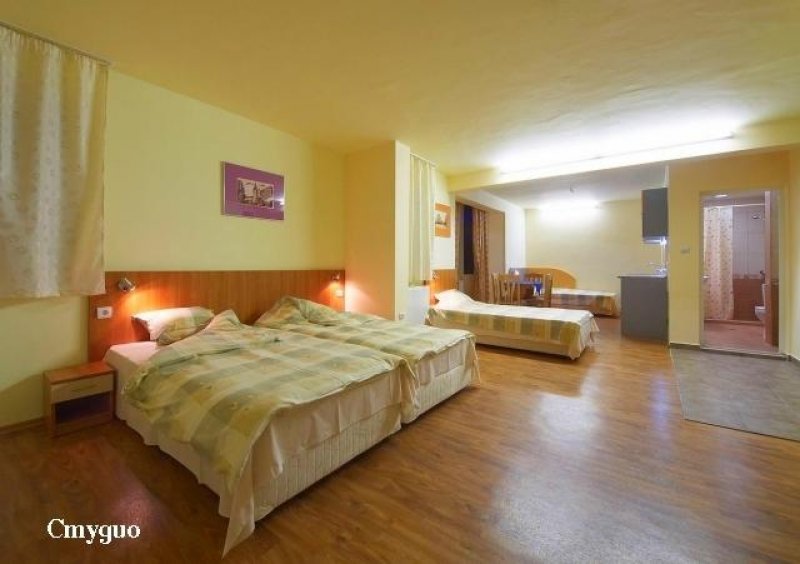 Къща за гости Баче Тодор - Снимка 5