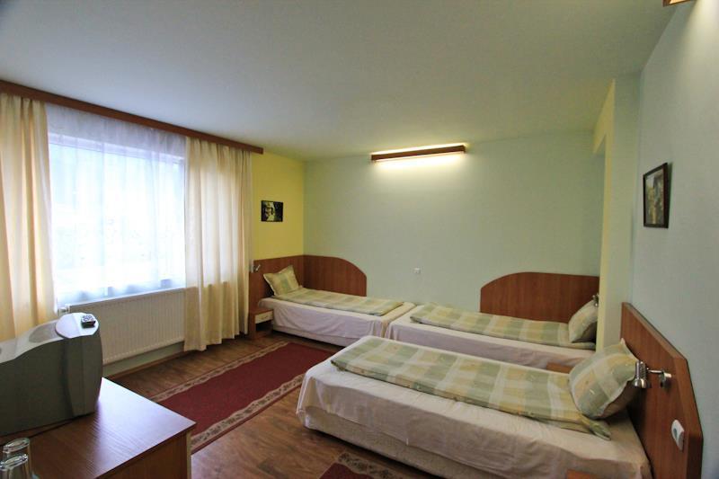 Къща за гости Баче Тодор - Снимка 3