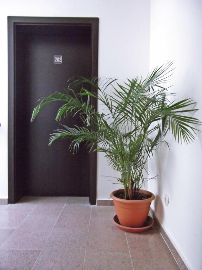 Хотел Енчеви - Снимка 9