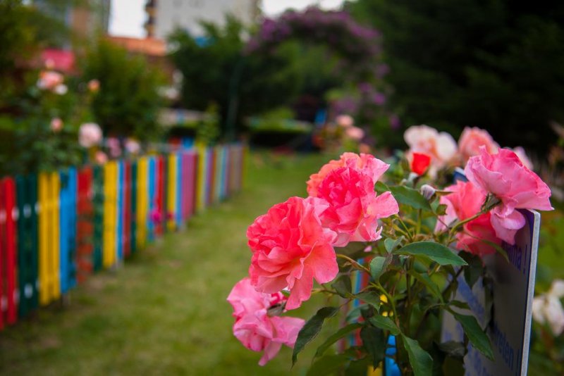 Хотел Перла - Снимка 7