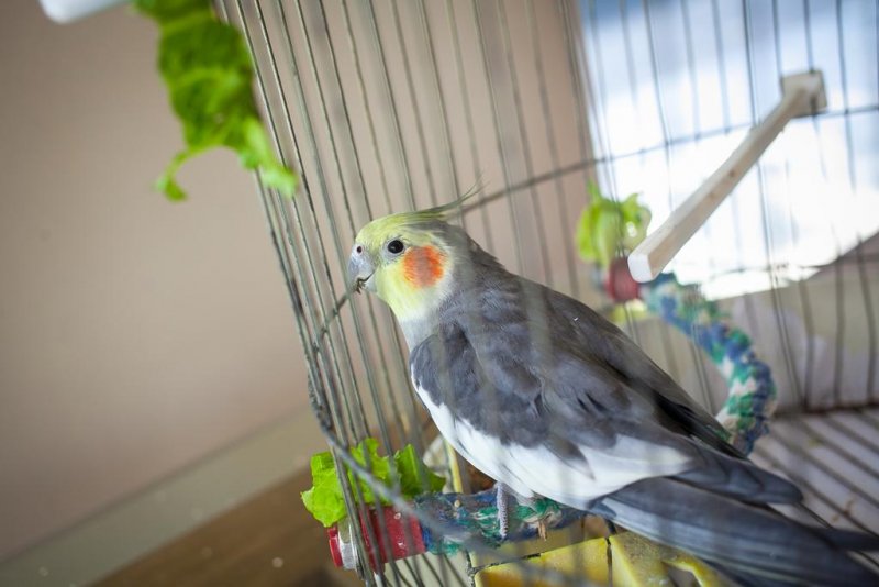 Хотел Перла - Снимка 9