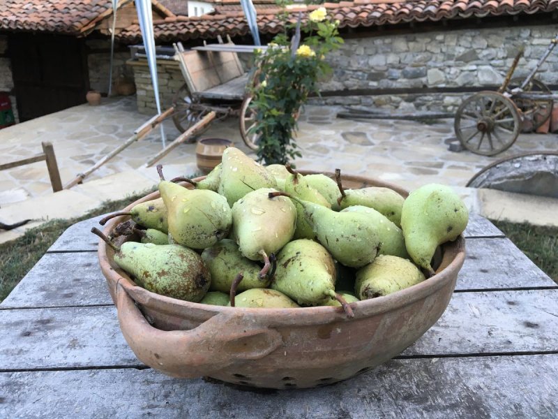 Къща за гости Кафеджийницата - Снимка 2