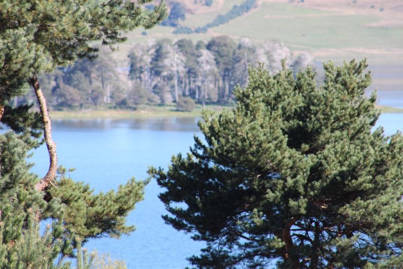 Семеен хотел Аида - Снимка 9