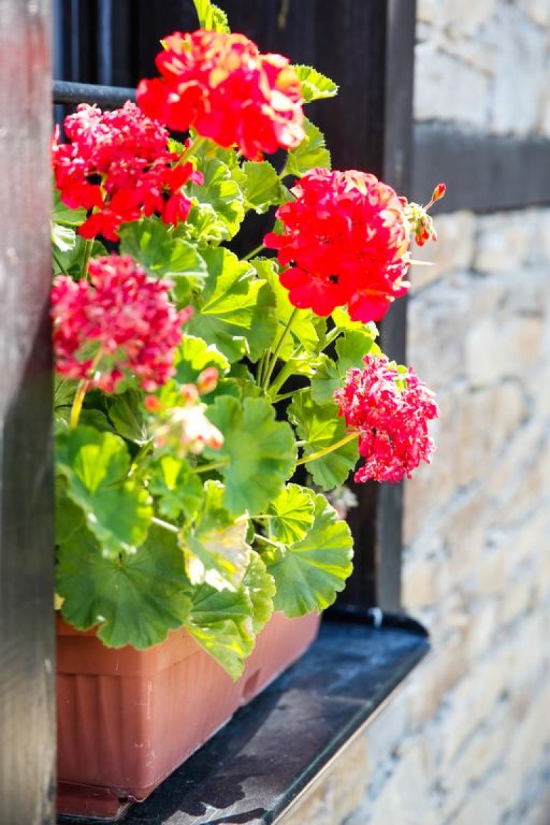 Комплекс Трите къщи - Снимка 11